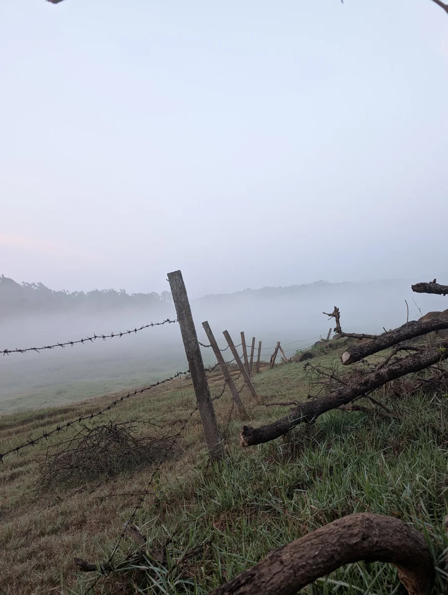 A misty lake beside a quiet wooden fence