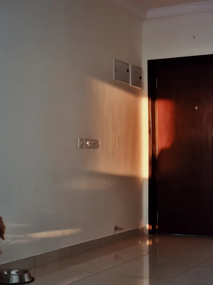 Warm sunlight falling across a wall beside a wooden door