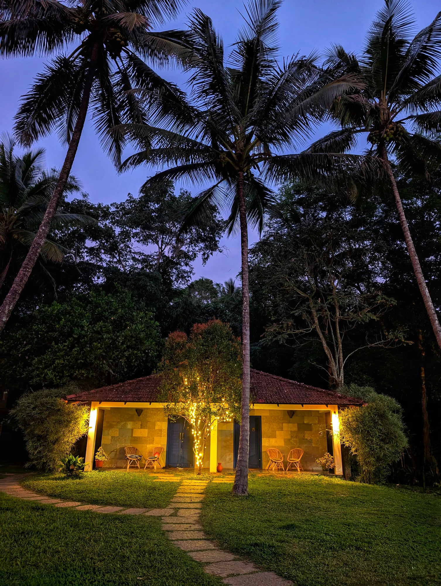 An illuminated cottage surrounded by palms at dusk